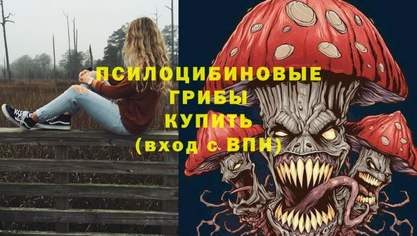 мдпв Абинск