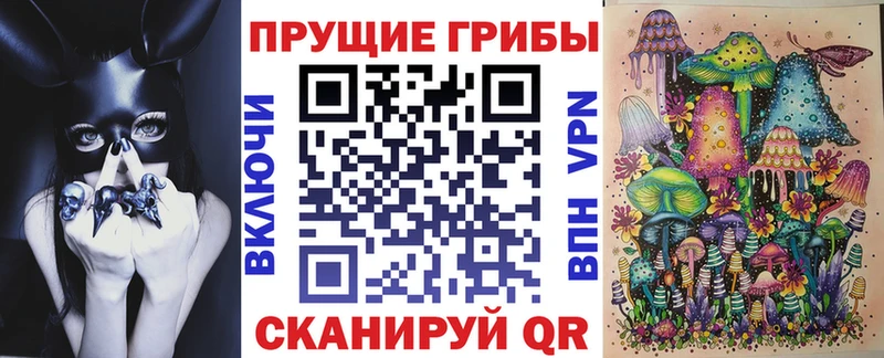 где купить наркотик  маркетплейс состав  Галлюциногенные грибы Psilocybine cubensis  Мещовск  KRAKEN tor 